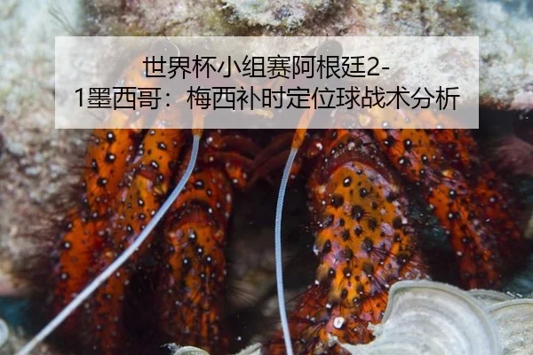 shi-jie-bei-xiao-zu-sai-a-gen-ting-mo-xi-ge-mei-xi-bu-shi-ding-wei-qiu-zhan-shu-fen-xi-2-298.jpg