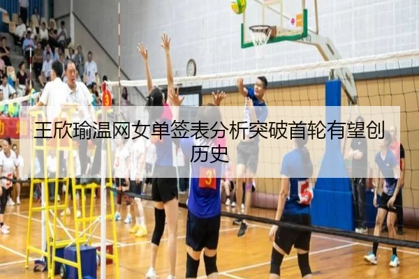 wang-xin-yu-wen-wang-nv-dan-qian-biao-fen-xi-tu-po-shou-lun-you-wang-chuang-li-shi-3-374.jpg