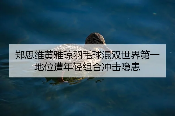 郑思维黄雅琼羽毛球混双世界第一地位遭年轻组合冲击隐患