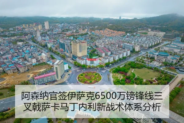 a-sen-na-guan-qian-yi-sa-ke-wan-bang-feng-xian-san-cha-ji-sa-ka-ma-ding-nei-li-xin-zhan-shu-ti-xi-fen-xi-2-172.jpg