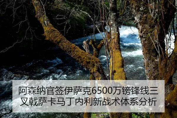 阿森纳官签伊萨克6500万镑锋线三叉戟萨卡马丁内利新战术体系分析