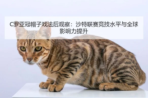 luo-ya-guan-mao-zi-xi-fa-hou-guan-cha-sha-te-lian-sai-jing-ji-shui-ping-yu-quan-qiu-ying-xiang-li-ti-sheng-2-436.jpg